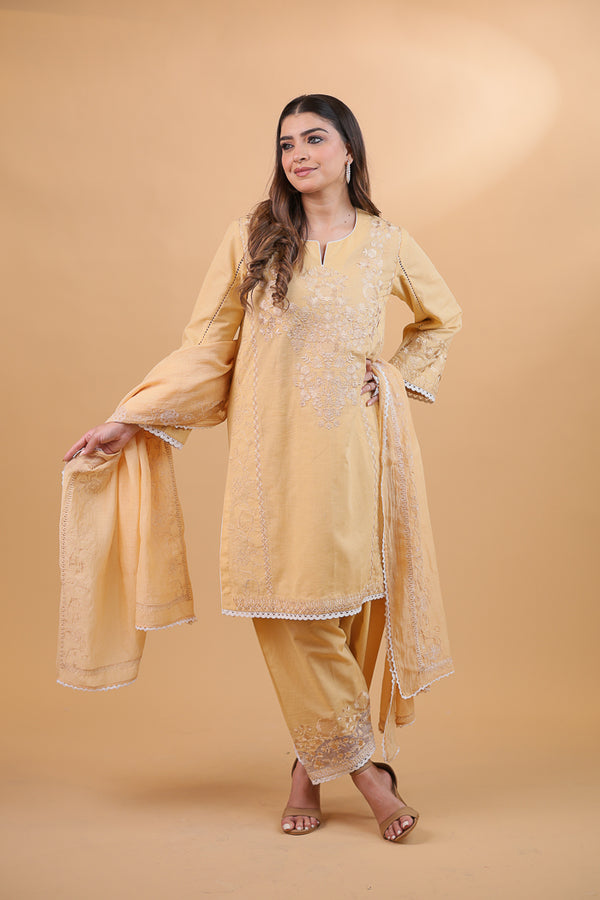 Dark Beige & White Embroidered Suit Set