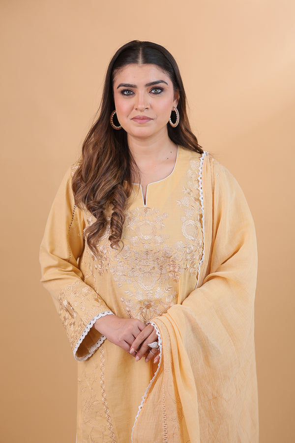 Dark Beige & White Embroidered Suit Set