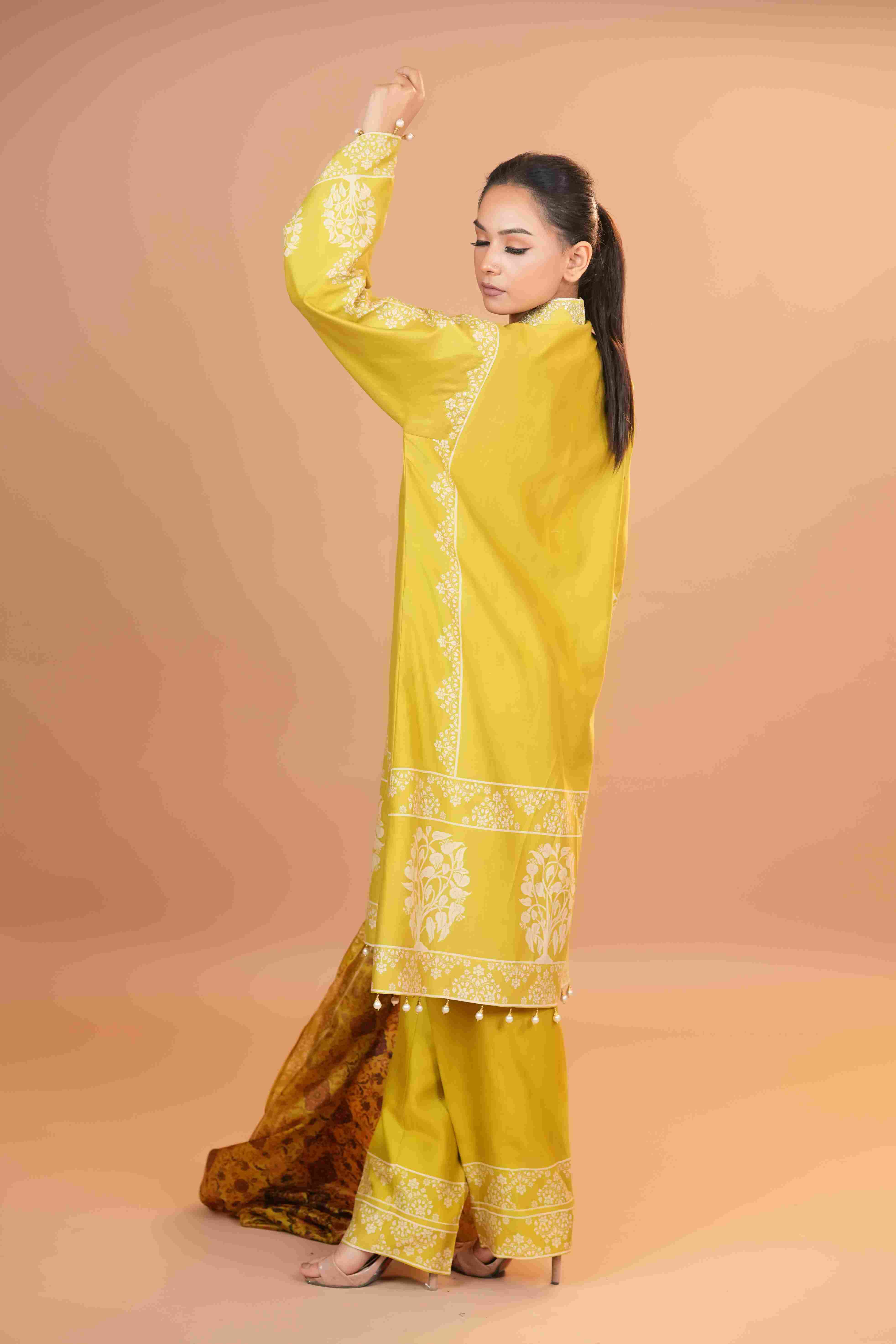 Tussar Chanderi Silk Suit - (Apple Green)