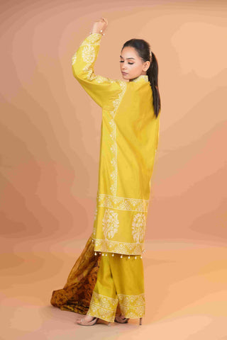 Tussar Chanderi Silk Suit - (Apple Green)