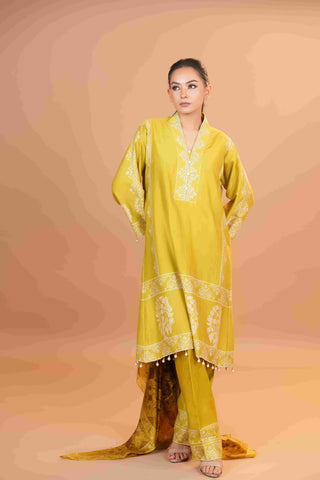 Tussar Chanderi Silk Suit - (Apple Green)