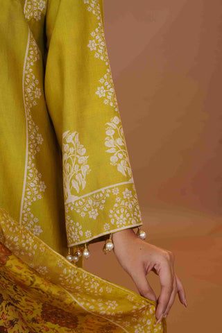 Tussar Chanderi Silk Suit - (Apple Green)