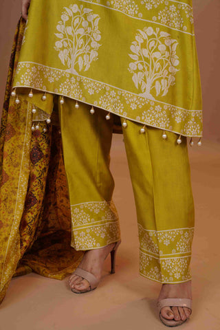 Tussar Chanderi Silk Suit - (Apple Green)