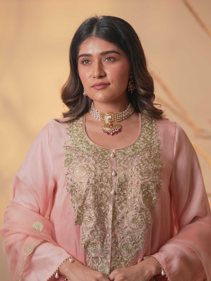 Organza Zari Work-Blush Pink
