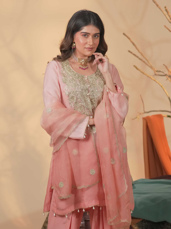 Organza Zari Work-Blush Pink