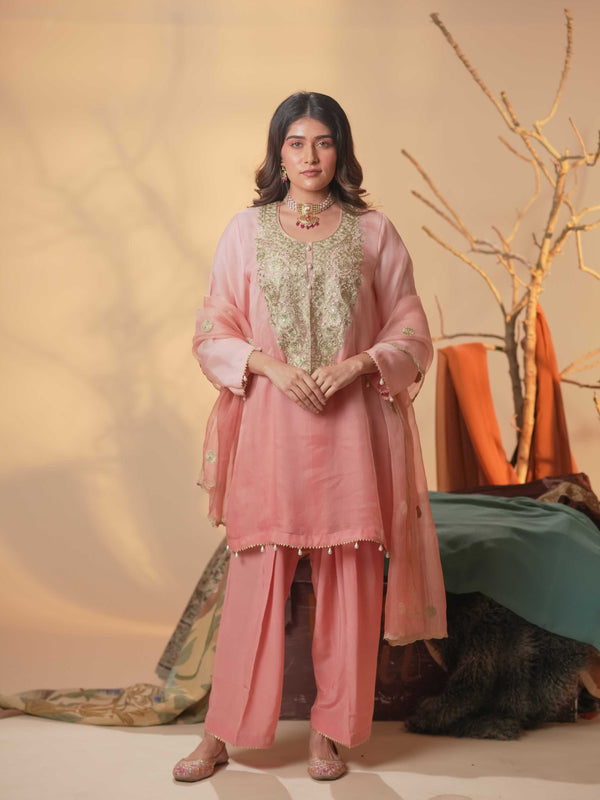 Organza Zari Work-Blush Pink