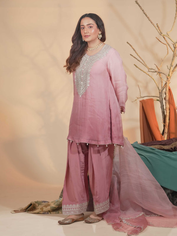 Organza Zari Work-Soft Pastel Pink