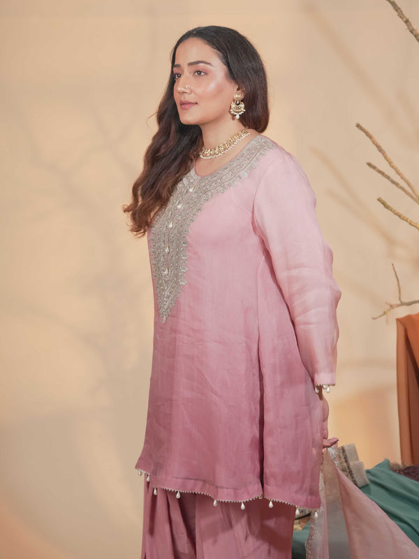 Organza Zari Work-Soft Pastel Pink
