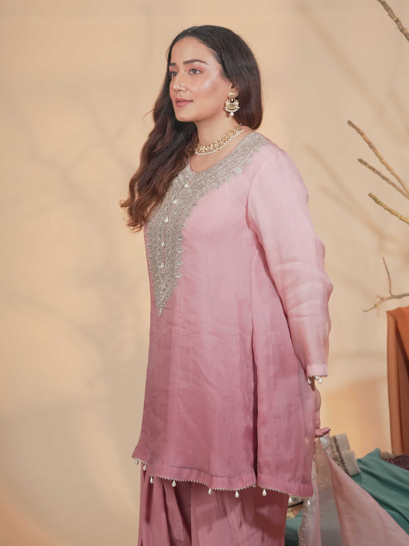 Organza Zari Work-Soft Pastel Pink