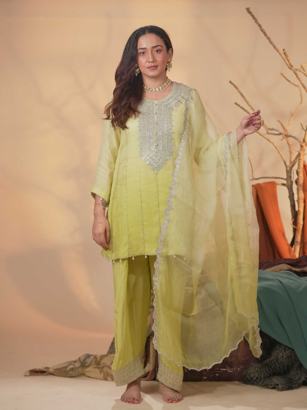 Organza Zari Work-Lime Yellow