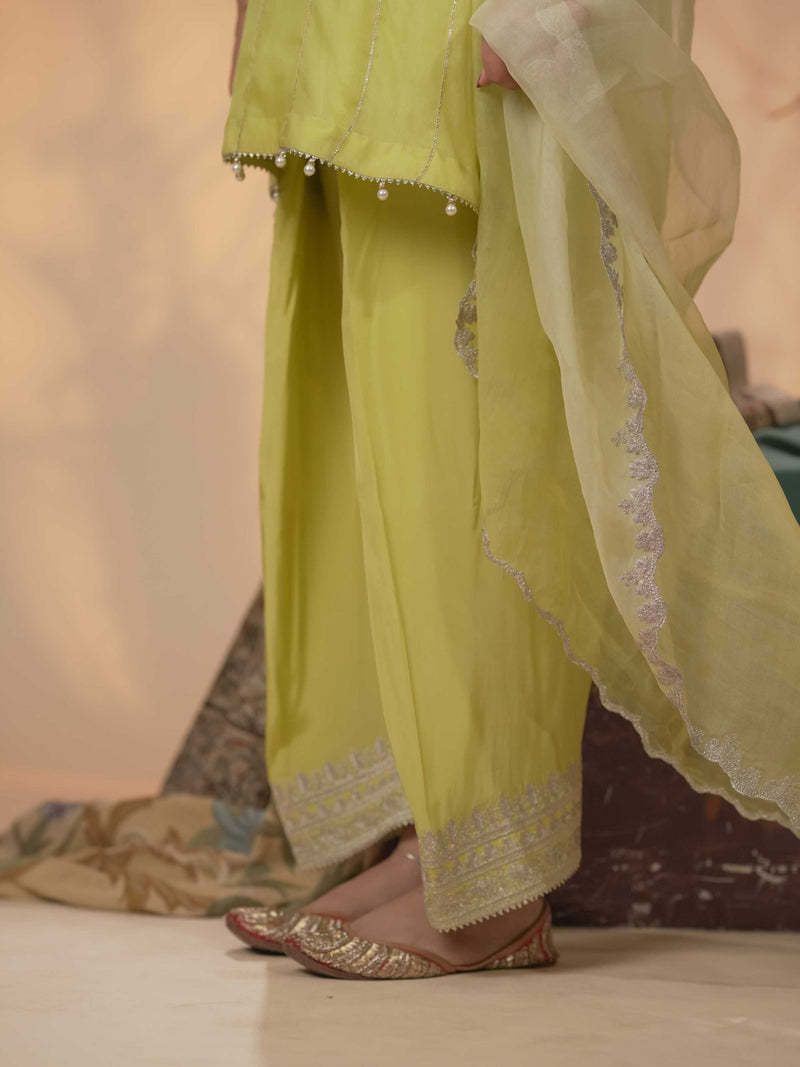 Organza Zari Work-Lime Yellow