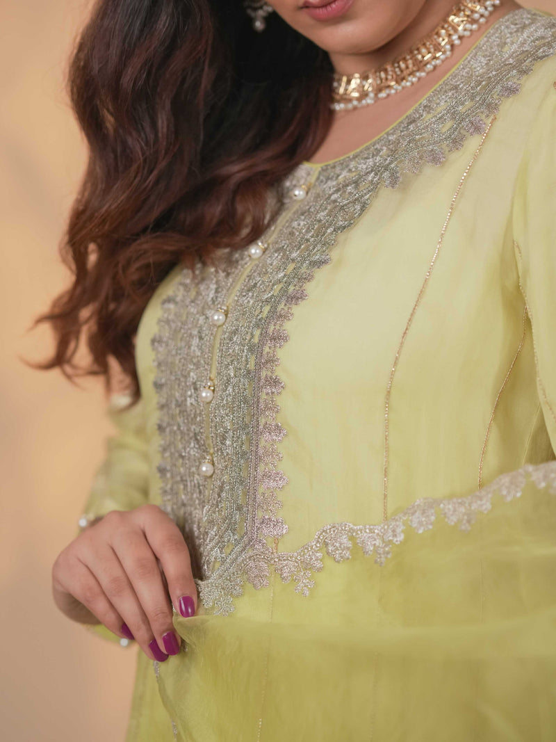 Organza Zari Work-Lime Yellow