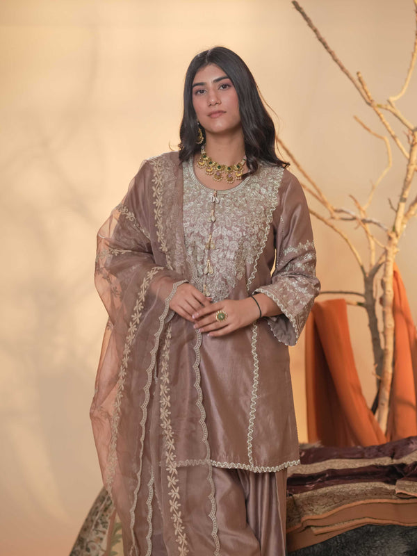Tussar Chanderi-Light Brown And Grey