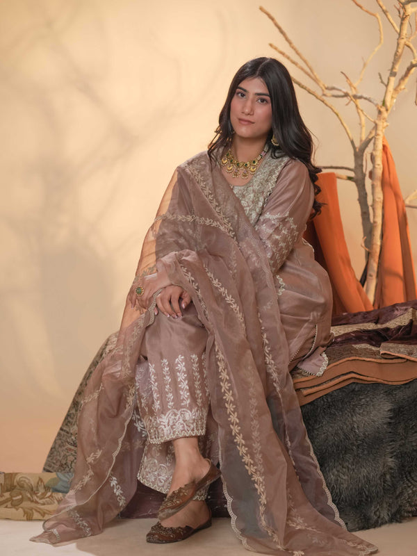 Tussar Chanderi-Light Brown And Grey