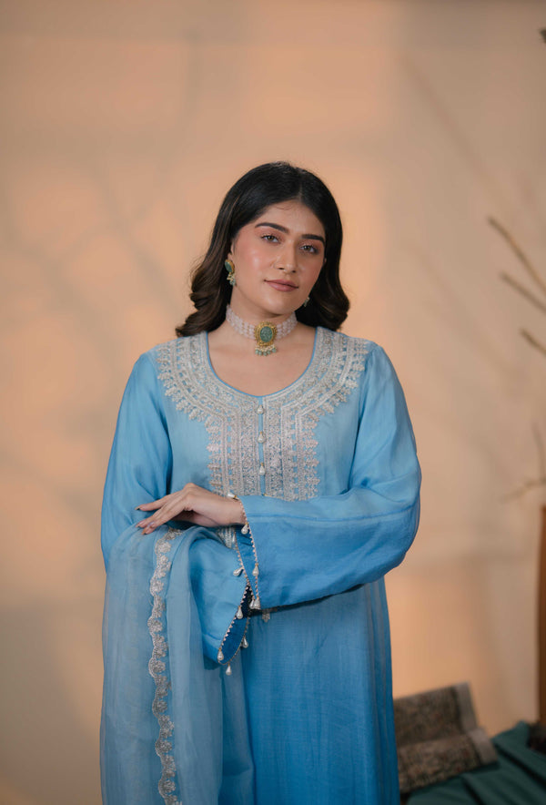 Organza Zari Work-Light Blue