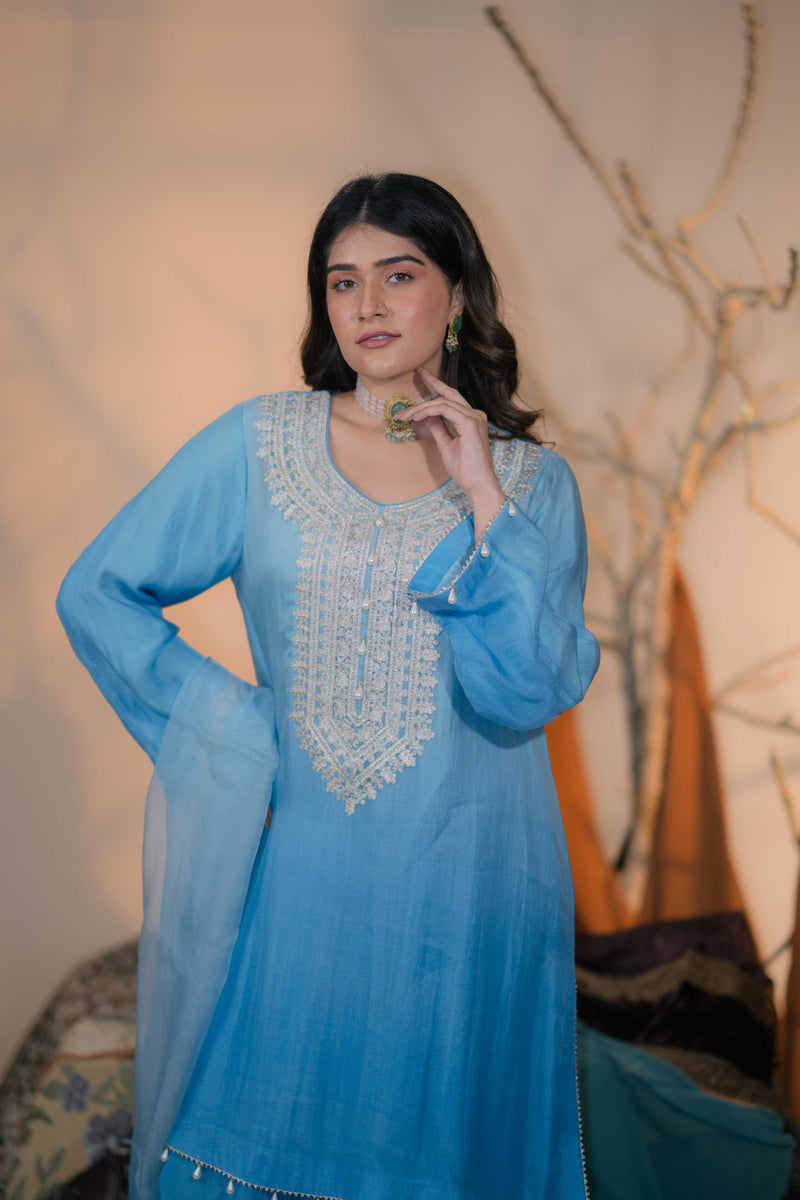 Organza Zari Work-Light Blue