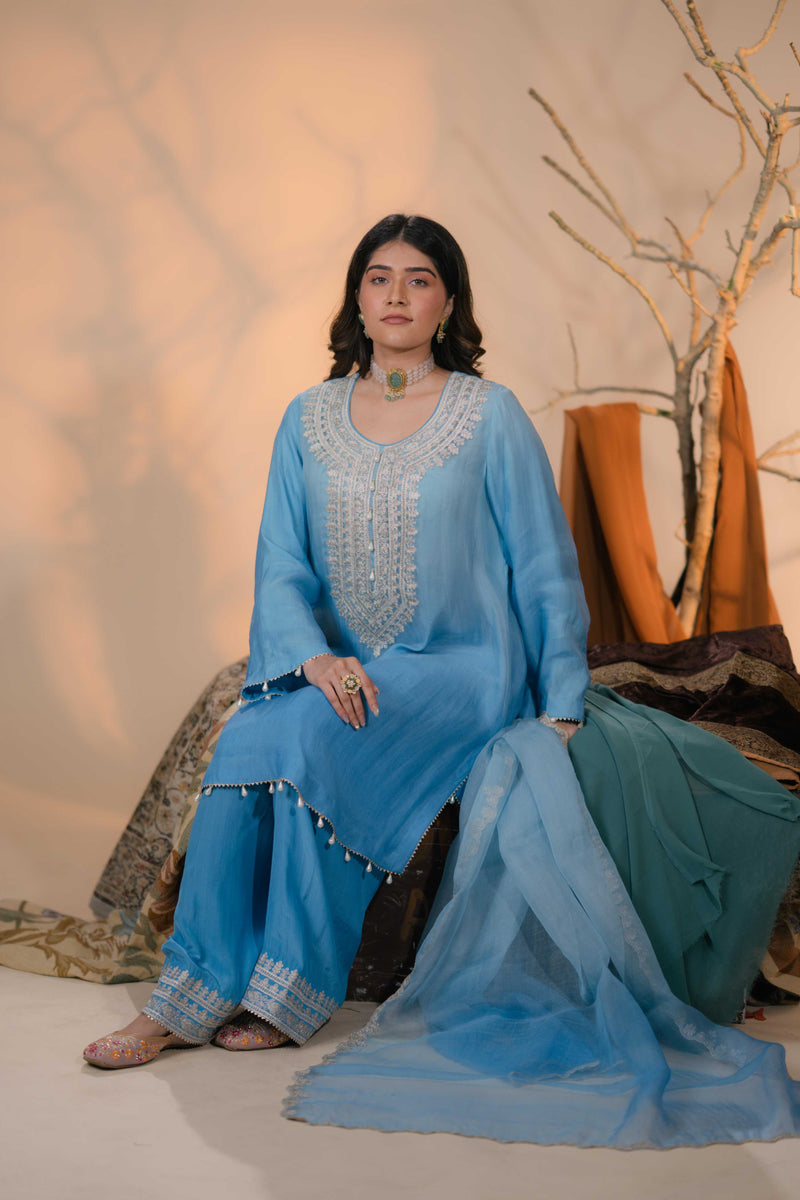 Organza Zari Work-Light Blue