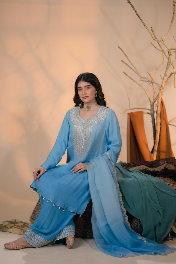 Organza Zari Work-Light Blue