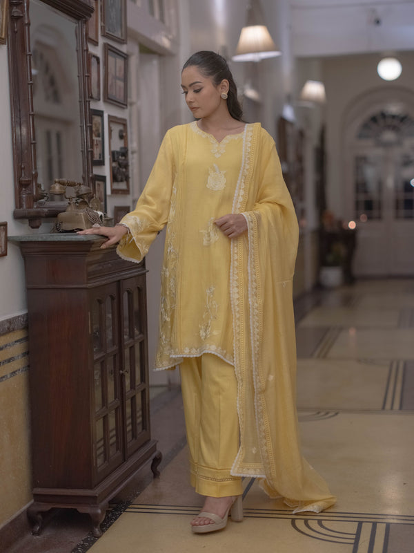 Mal Chanderi Suit set : Lime yellow