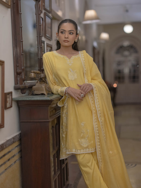 Mal Chanderi Suit set : Lime yellow